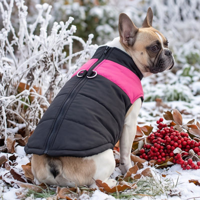 Cotton P et Recovery S uit Warm Dog Kitty Winter Coat Thick Padded Pet Jacket Cold Weather Puppy Clothing Cozy Outdoor Apparel For Small Medium Dogs And Kitties