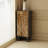 Multifunction storage modern decorative cabinet