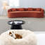 Canapés confortables en chenille, design moderne incurvé pour la maison
