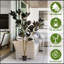 Simulé mauve noir pot de plante d'intérieur décoration de la maison feuilles d'arbre de fer Bonsaï décoration de la maison deux couleurs 180 cm 1 Pcs / ensemble