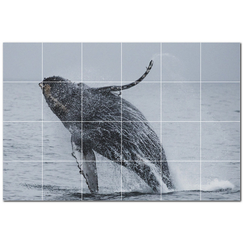 Murale en céramique satinée Whale Photo 8 po x 8 po