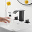 Widespread 2-handle Bathroom Faucet with Drain Assembly-71637679