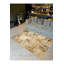 Tapis décoratif à motifs multicolores Northern Collection-126445718