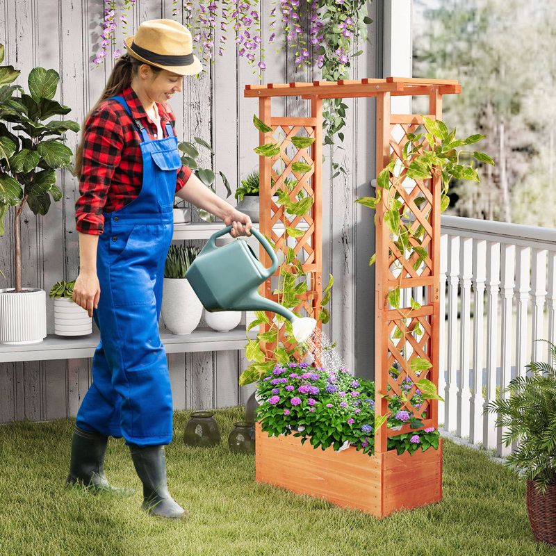 Boîte à fleurs surélevée avec treillis latéral et supérieur pour plantes grimpantes