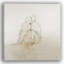 Art mural sur toile «Quiet Together»-247062956