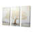 Toile tendue