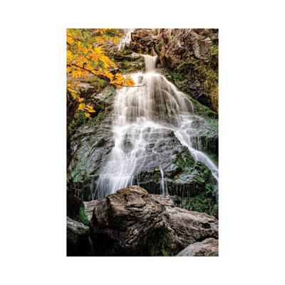 Germany Wilderness Waterfall By Nik Rave - Wrapped Canvas Graphic Art by Nik Rave - Wrapped Canvas Gallery-Wrapped Canvas Giclée