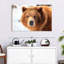 Regard d'ours grizzly-107703629