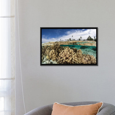" A Healthy Coral Reef Grows In The Solomon Islands I " by Ethan Daniels