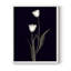 Tulipe Pose II, reproduction encadrée - bois massif-39153946-39153924
