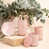 Rose corail est en rupture de stock