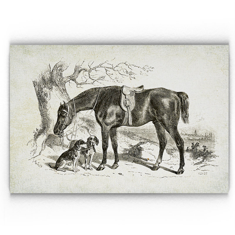 « équin sketch iv », impression, H 18 po x l 27 po x P 1,5 po, Pas de tapis, Toile tendue