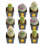 9 Live Cactus Plant in Pot Set