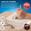 Dinosaur Excavation Kit 3D Skeleton
