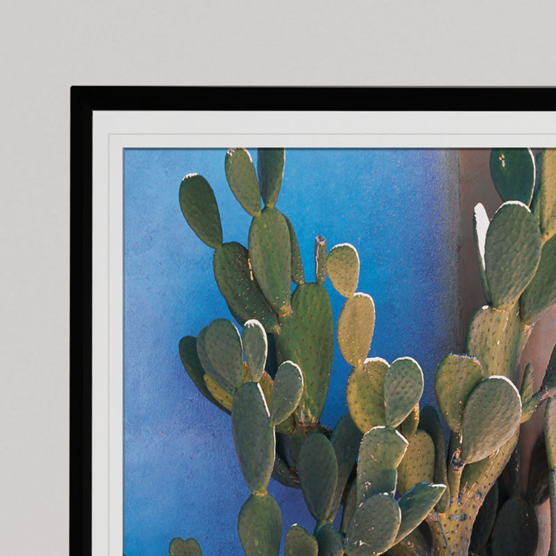 «Cactus Profile», reproduction de photo sur toile, Cadre noir, H 20 po x l 24 po x P 1,5 po