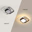 Nele LED Ceiling Light 3000K/6000K(White/Warm Light)-484354025