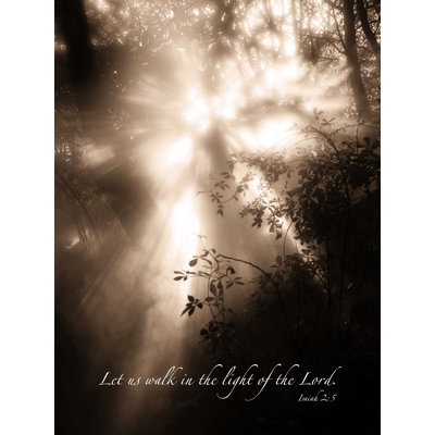 " Light Thru Trees 2 "