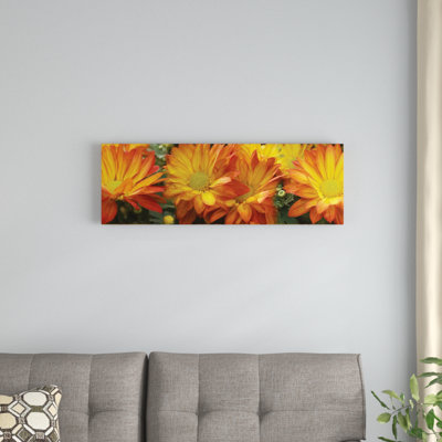 " Close-Up Of Yellow Gerbera Daisy Flowers " by Panoramic Images