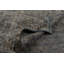 Rapture Geometric Cotton Charcoal Gray/Mink Brown Area Rug-53928259