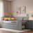 Modern Daybed With Storage Shelves, Drawers, Trundle, Charging Station, Led Light, Desk And Cabinet-119639032