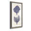 Indigo Seafans II - cadre photo, impression sur papier-1251405585