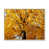 Brown Floater Framed