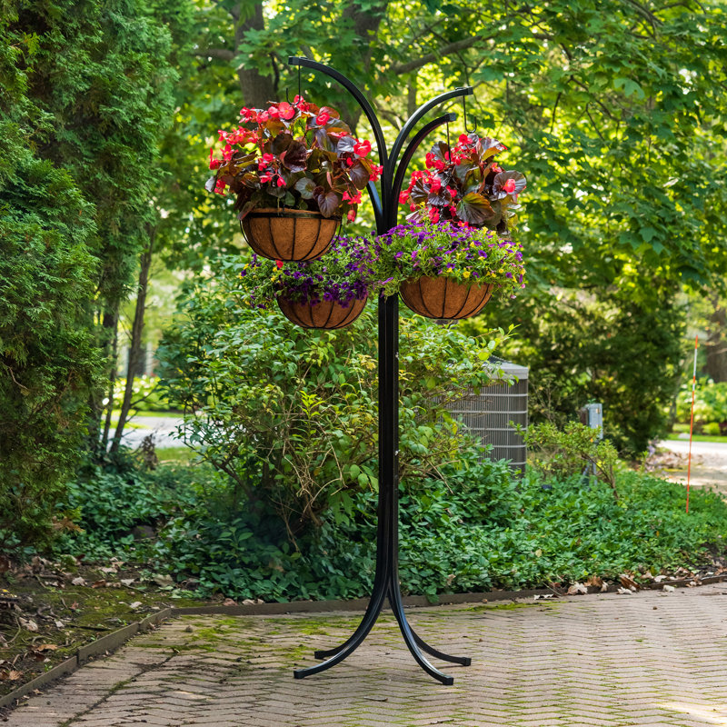 Black Metal 4-Arm Tree with Hanging Baskets