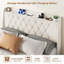 Cadre de lit Queen avec rangement, cadre de lit plateforme recouvert de velours avec tête de lit capitonnée en cristal, station de recharge, 2 tiroirs, sans sommier, silencieux, pour chambre à coucher, ivoire
