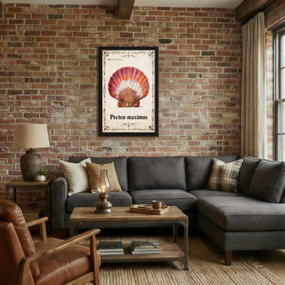 Animals Pecten Maximus Shell Print Vintage Style