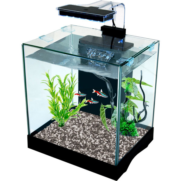 Tucker Murphy Pet Kesler 3.2 Gallon All-in-One Desktop Aquarium Kit