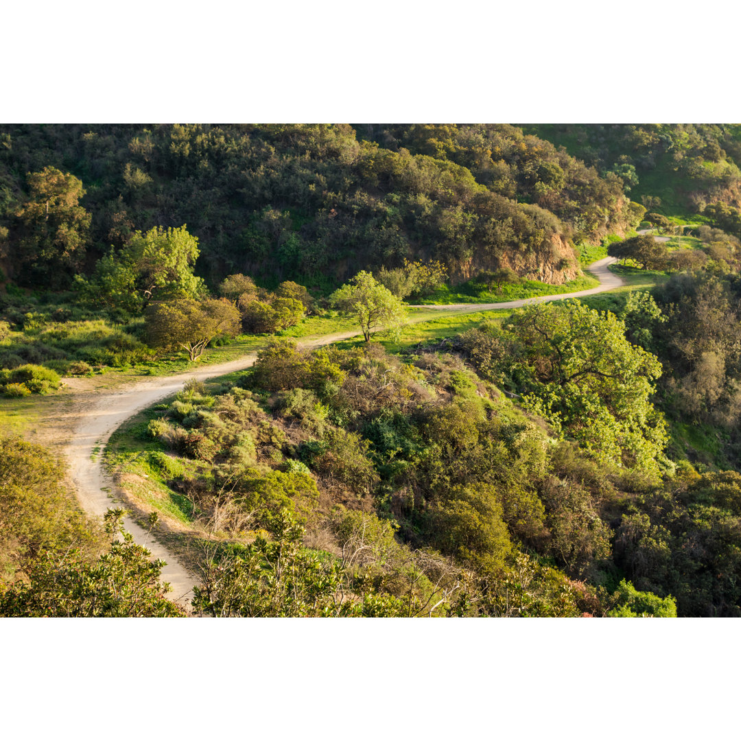 Runyon Canyon Park von Benedek - Druck