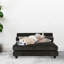 Canapé pour chien Soho-48425303-48425304