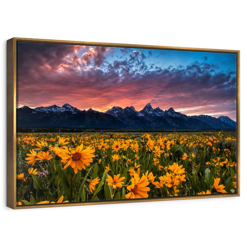 Grand Teton Wildflowers, 46 po x 31 po, Cadre flottant doré