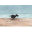 «Run Doggie Run», reproduction d'art sur toile tendue-617215546
