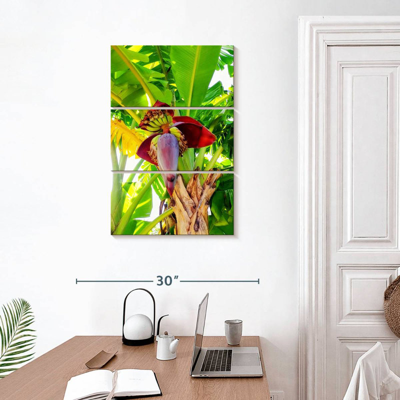 Harnek Banana Palm Heart, H 32 po x l 20 po