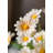 Daisy Arrangement-1453038157