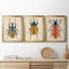 «Beetle Bug I», ensemble de 3 impressions sur toile encadrées-967737310-967737309