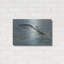 Highland Dunes «Salmon» par Wellington Studio, art mural en métal, 24 po x 16 po