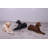 Tan Laying Labrador Life Size Statue