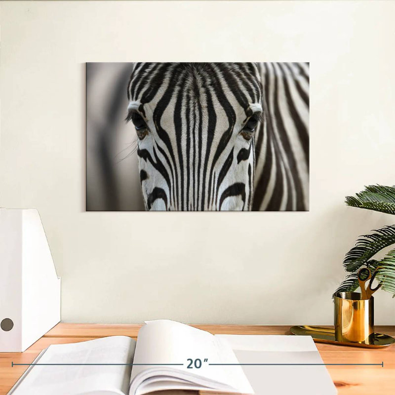 Crowle Gazing Zebra, 8" H x 12" W