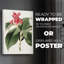 FloraOf TheTropicsI - Impression sur toile seulement - non encadrée-118051952
