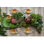 Amazōnia Earthenware Dining Bowl-54705746