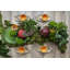 Amazōnia Earthenware Salad Bowl-54705746