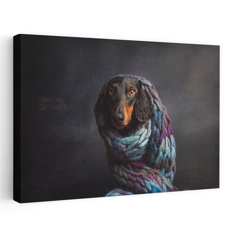 Cozy Pensive Dachshund Contemporary Dog Wall Art Print 1 Piece Wrapped Canvas Wall Art, 40.64cm H x 60.96cm W