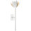 Julie Neill Alberto Medium Sconce