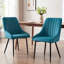 Chipman Velvet Upholstered Dining Chair-37275340