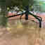 Customer photo 4 of 5