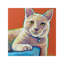 Hutchy - Wrapped Canvas Painting-1301852134
