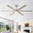 Lofties 66'' Ceiling Fan with LED Lights-261454273
