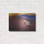 «Sunset Flight» par Jonathan Ross-975610957